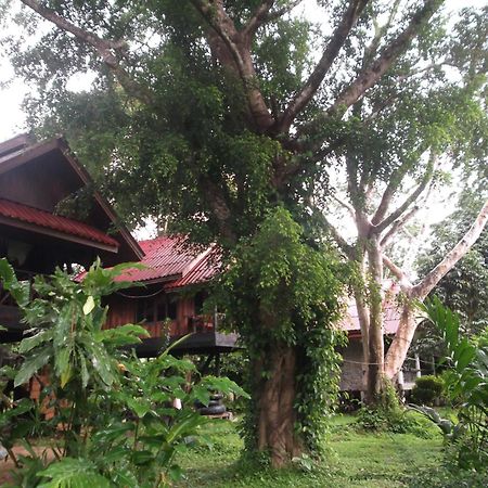 Hotel Bamboo House Khao Sok National Park Zewnętrze zdjęcie