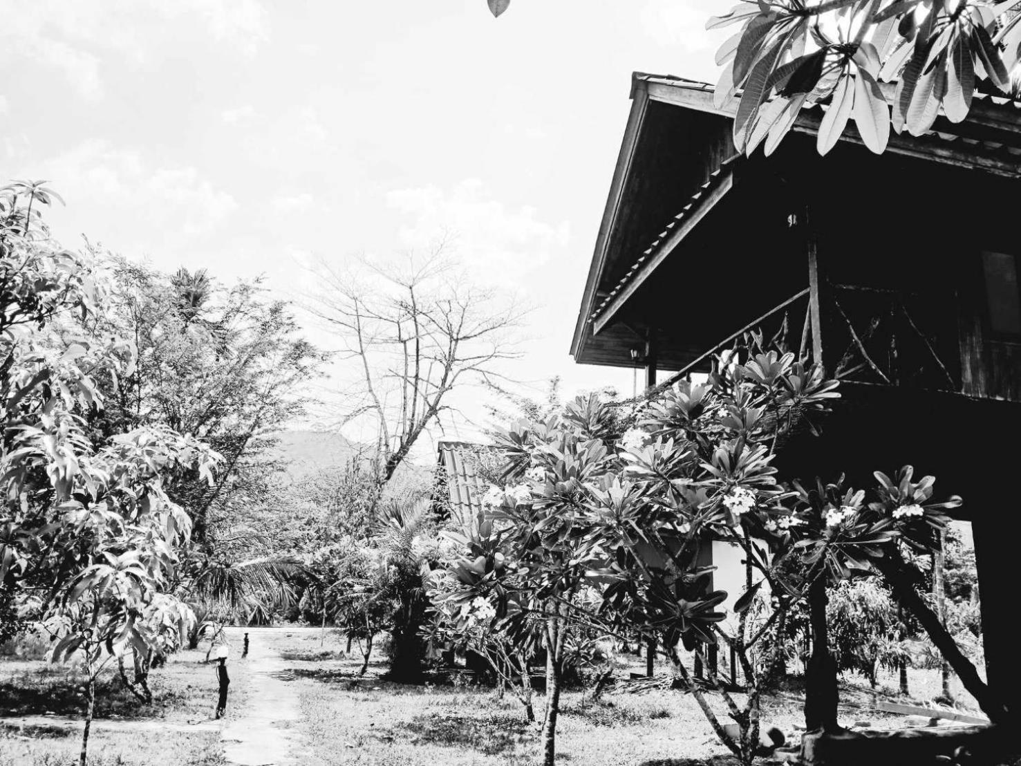 Hotel Bamboo House Khao Sok National Park Zewnętrze zdjęcie