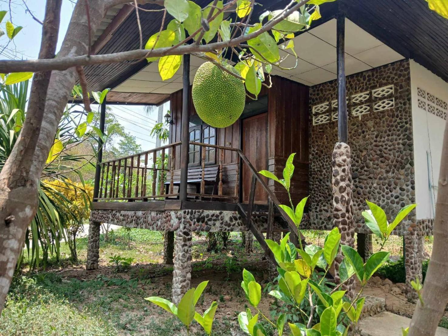 Hotel Bamboo House Khao Sok National Park Zewnętrze zdjęcie