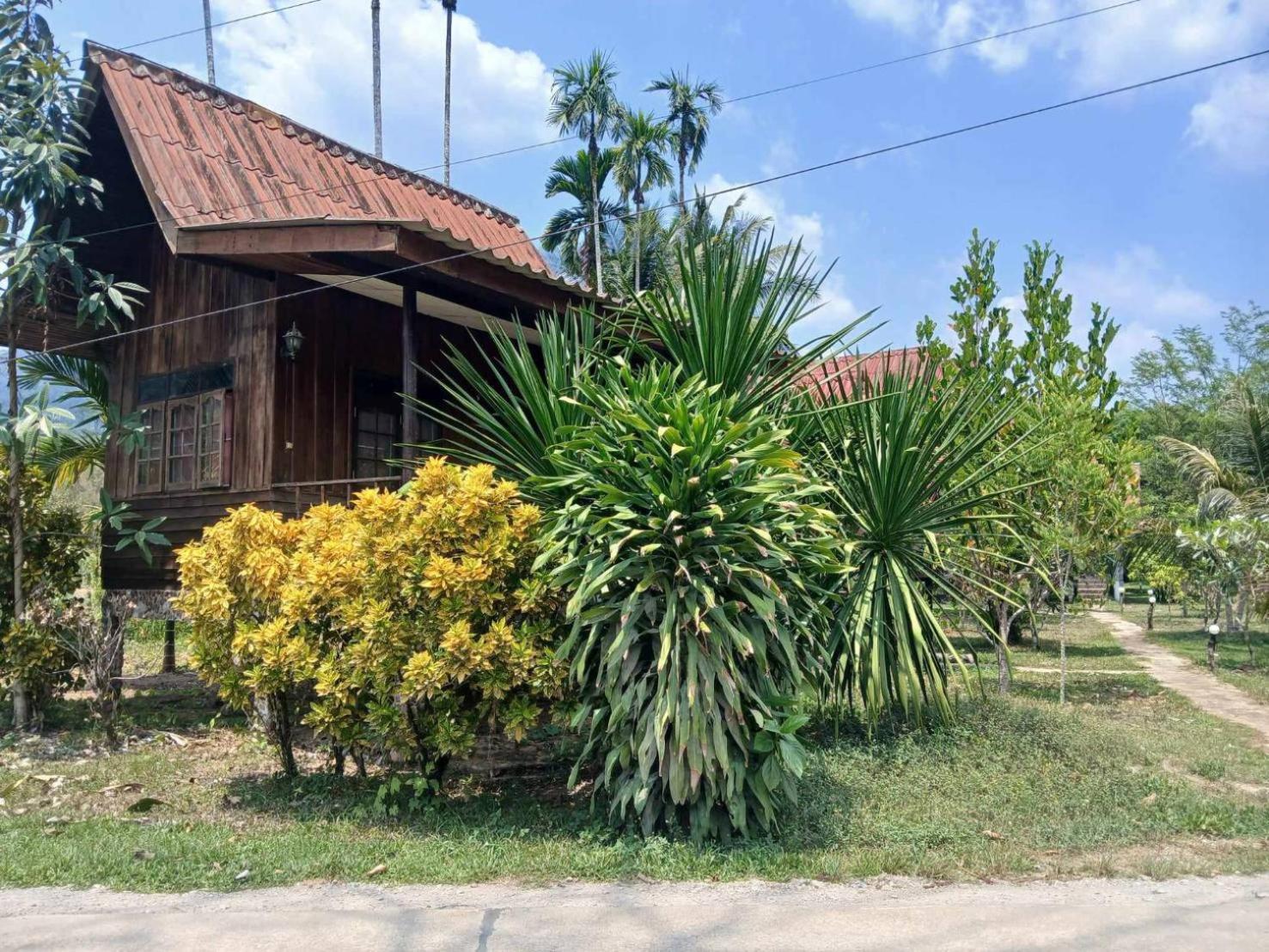 Hotel Bamboo House Khao Sok National Park Zewnętrze zdjęcie