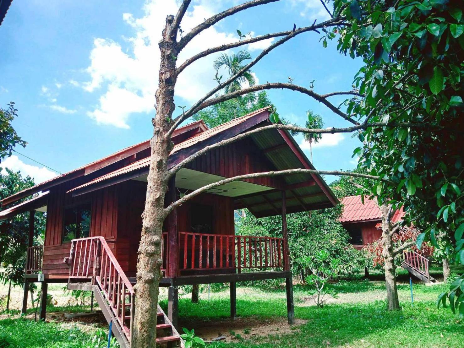 Hotel Bamboo House Khao Sok National Park Pokój zdjęcie