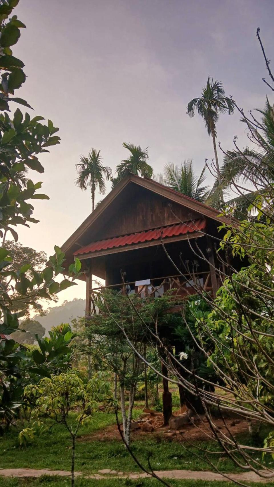 Hotel Bamboo House Khao Sok National Park Zewnętrze zdjęcie