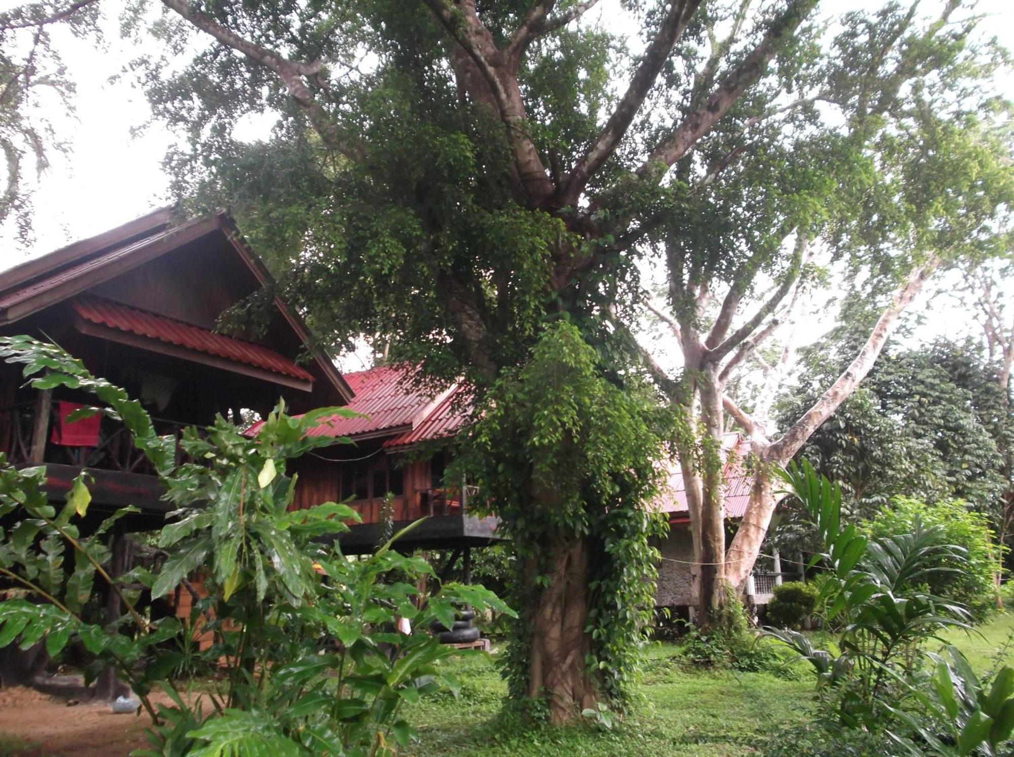 Hotel Bamboo House Khao Sok National Park Zewnętrze zdjęcie