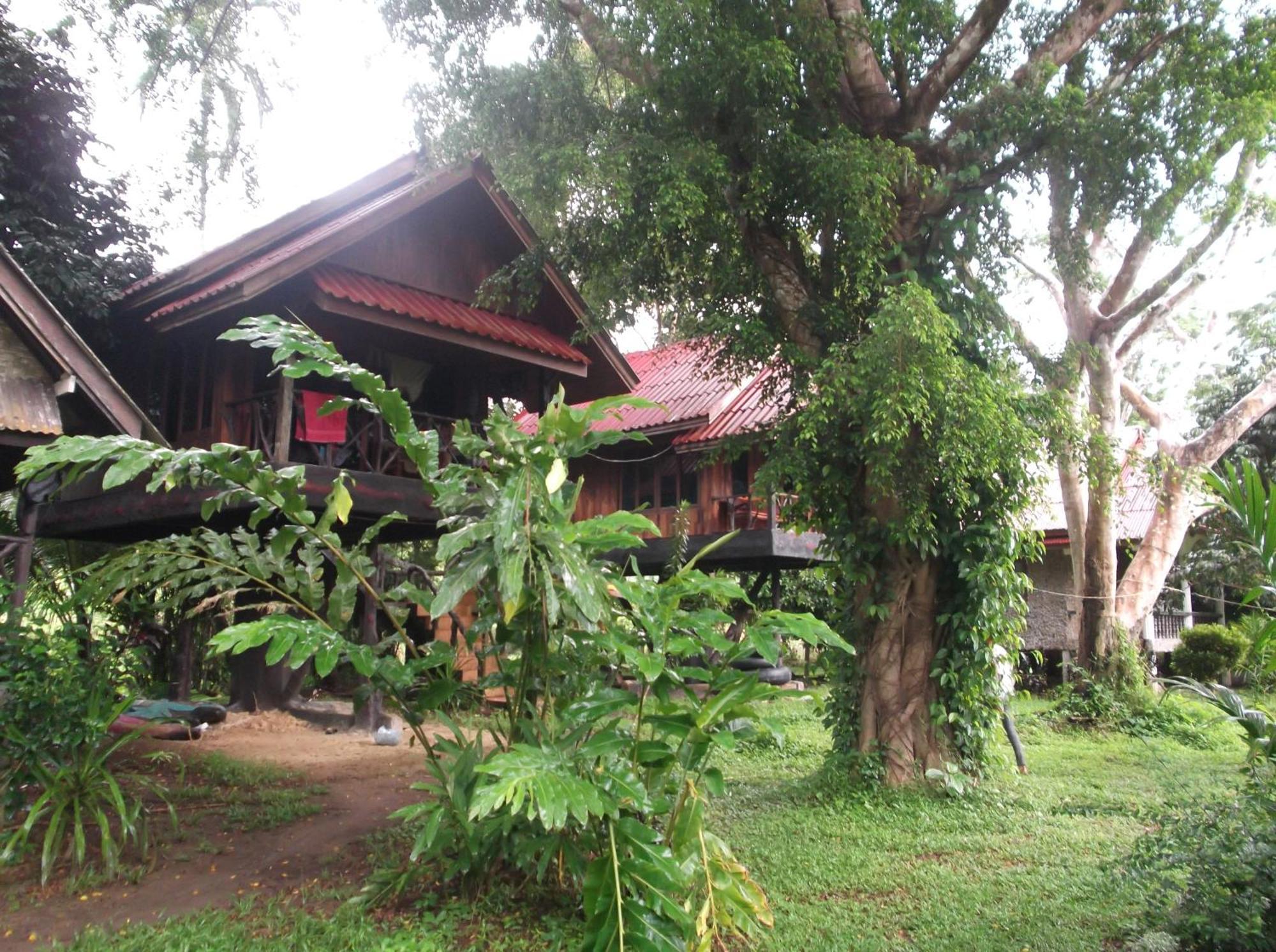 Hotel Bamboo House Khao Sok National Park Zewnętrze zdjęcie