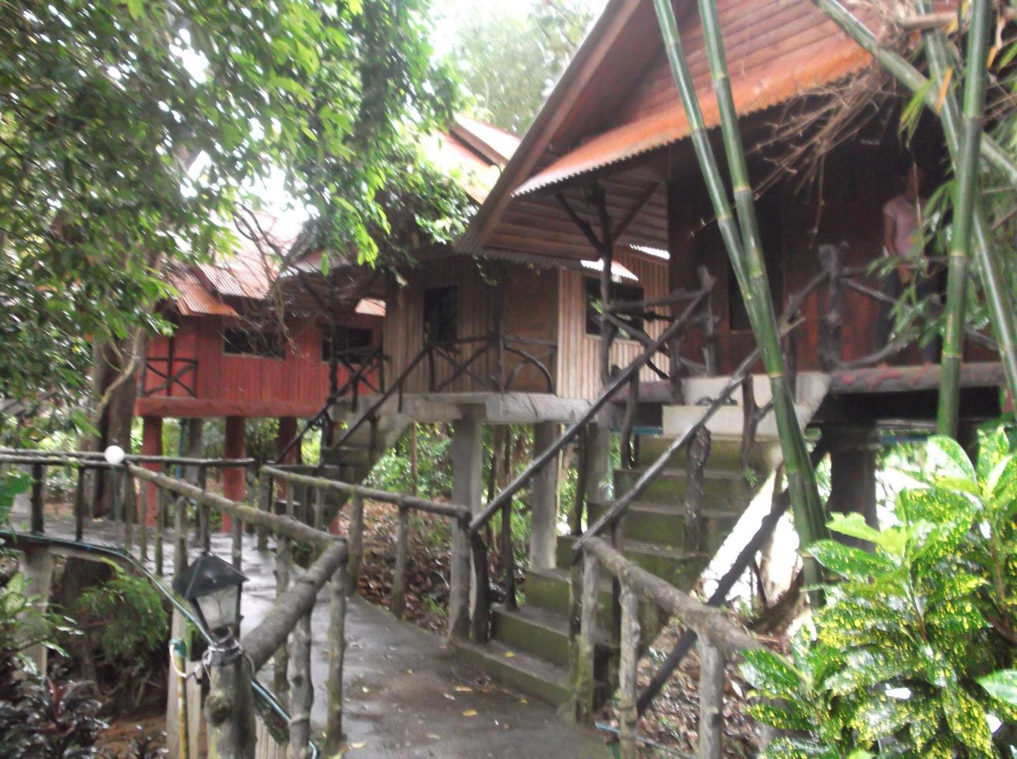 Hotel Bamboo House Khao Sok National Park Zewnętrze zdjęcie