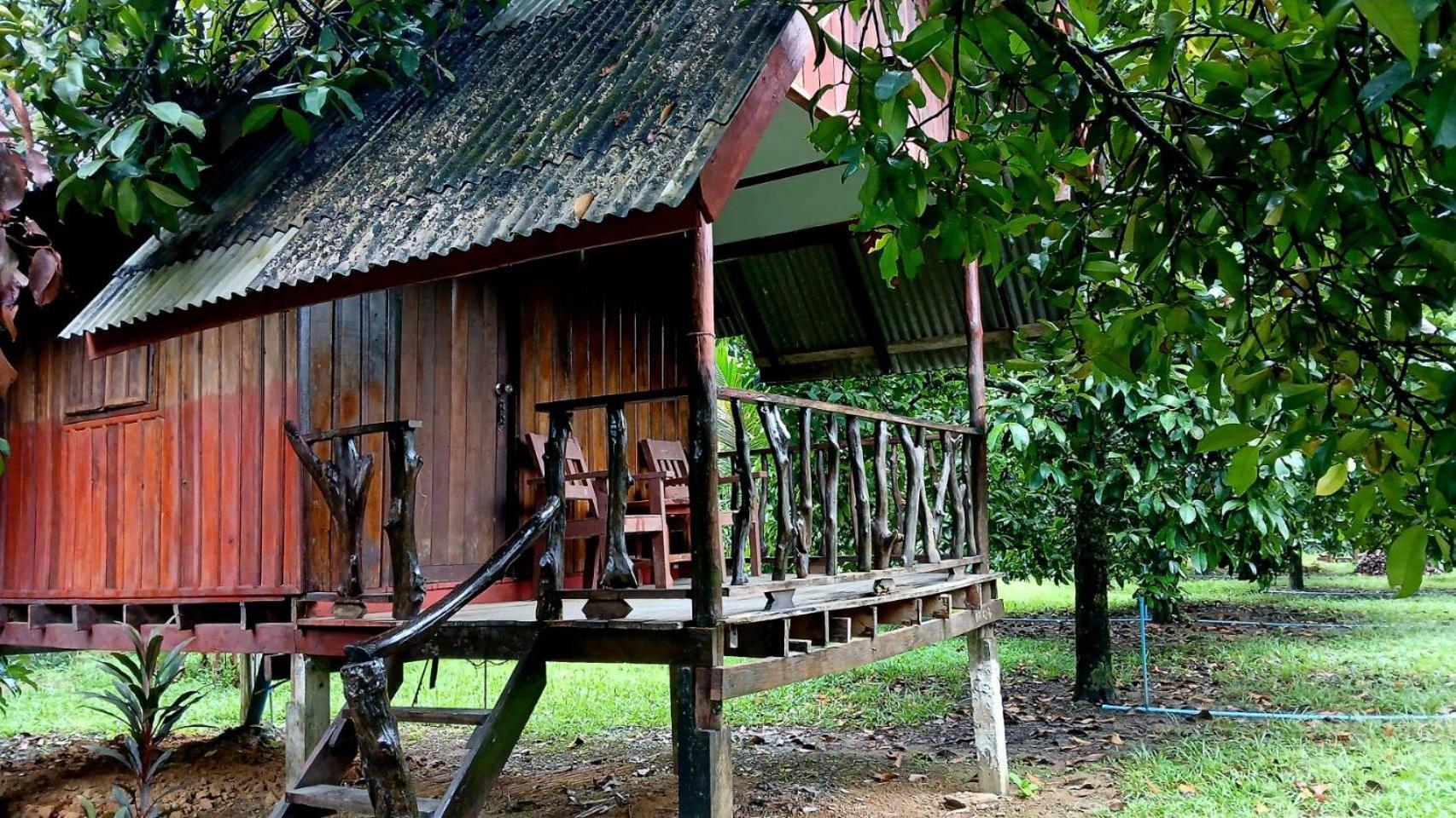 Hotel Bamboo House Khao Sok National Park Zewnętrze zdjęcie